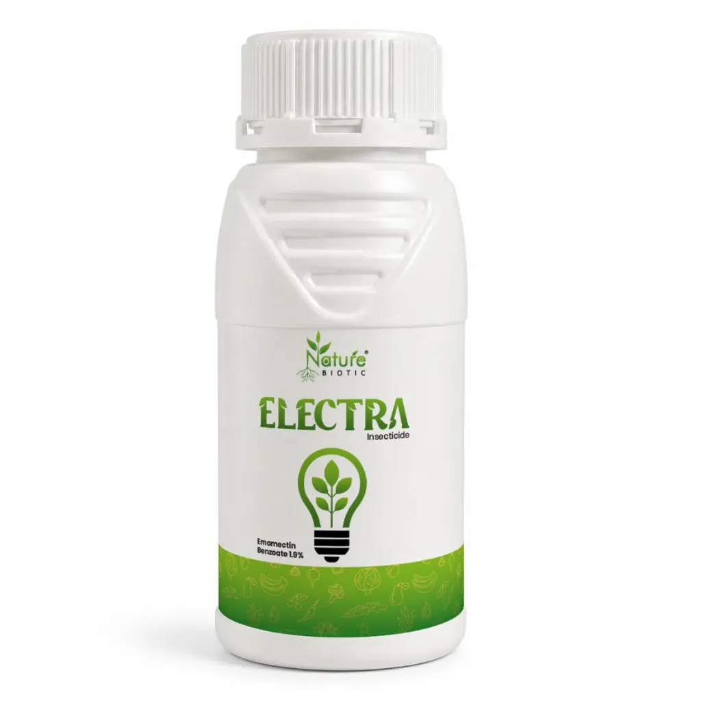 Electra