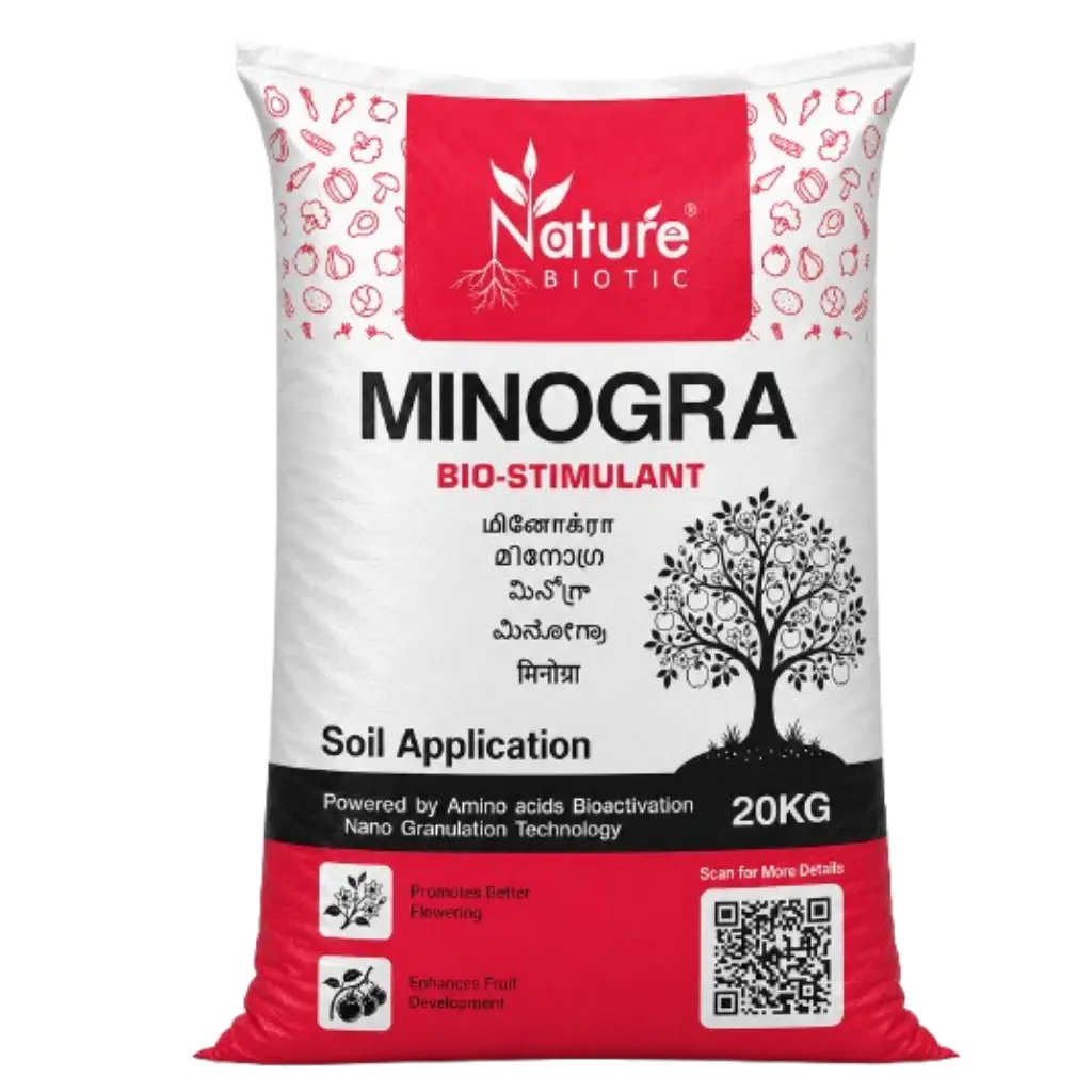 Minograa 