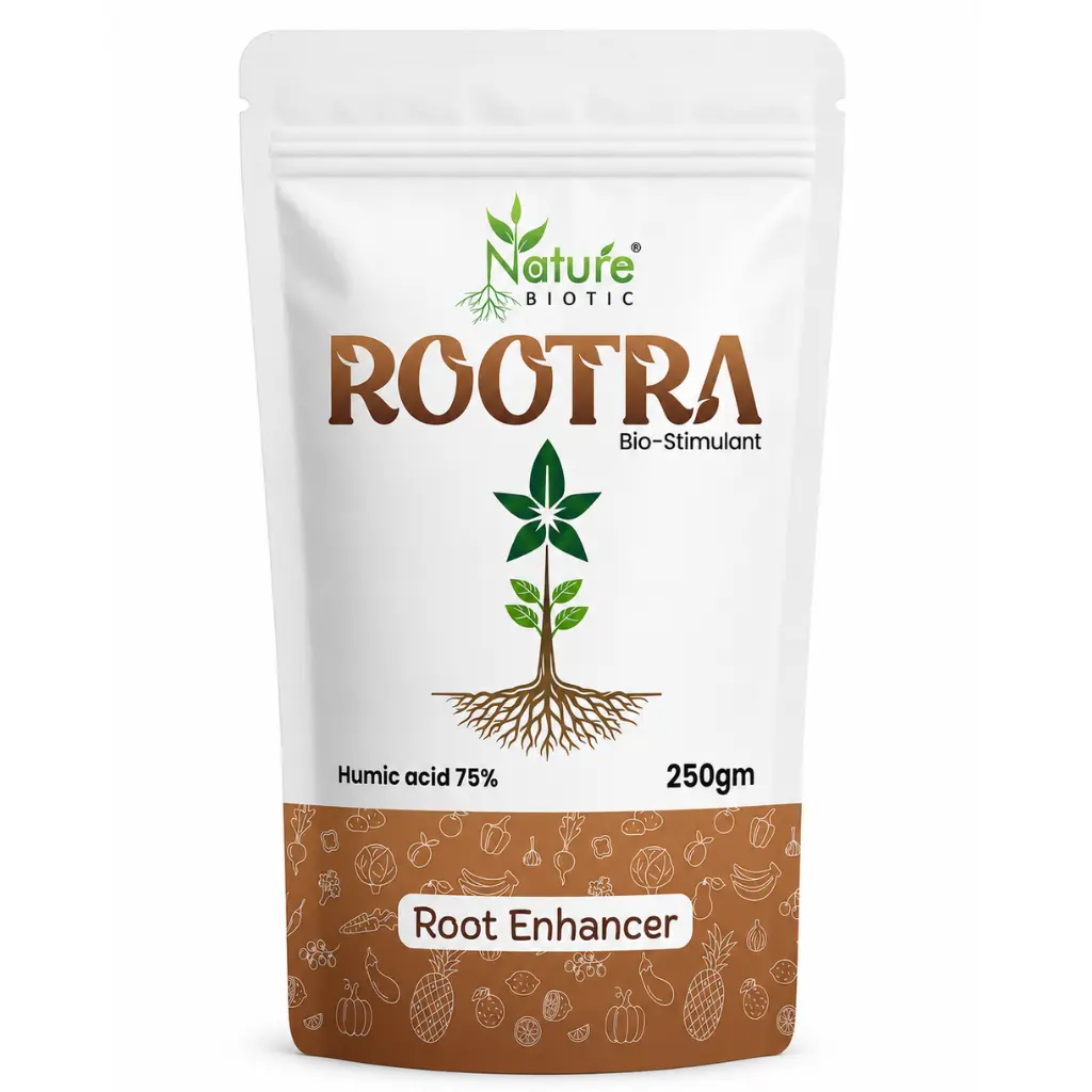 Rootra 